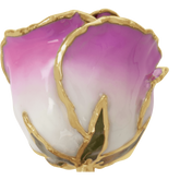 24K Solid Gold Rose- Cream Picasso